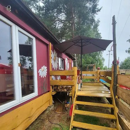 W Zwierzecym Azylu Nyaraló